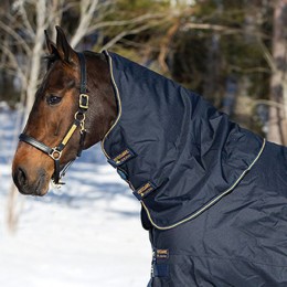 Amigo Bravo 12 XL Hood