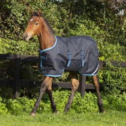 Amigo Foal Rug