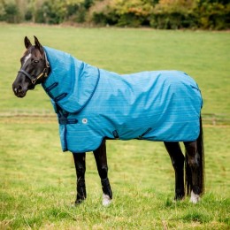 Amigo Hero 900 Revive Plus 50g