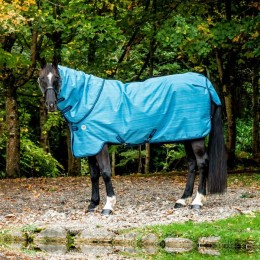 Amigo Hero 900 Revive Plus 50g