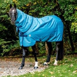 Amigo Hero 900 Revive Plus 50g