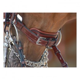 Dyon double bridle with large crack noseband brown, white padding