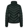 Euro-Star Bomber Jacket Giorgina