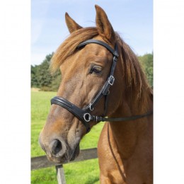 F.R.A. Combinatie Bridle Runa