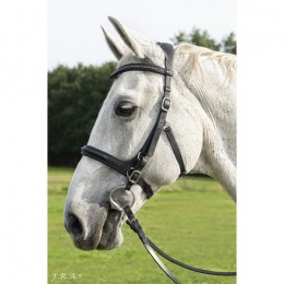 F.R.A. Combinatie Bridle Runa