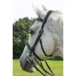 F.R.A. Combinatie Bridle Runa