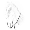 Equiline Martingale