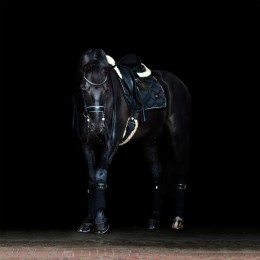 Equestrian Stockholm SS'23 dressage saddlepad Black Edition Gold