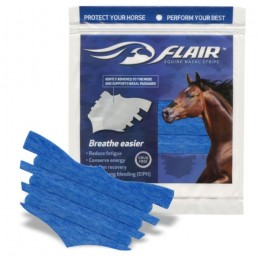 Flair Equine Nasal strips