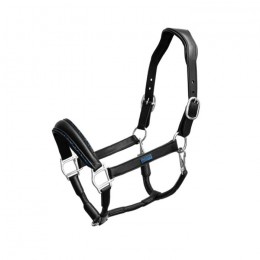 Equestrian Stockholm SS'23 Blue Meadow anatomic leather halter