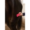 PaardenpraatTV Grooming Brush
