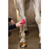 PaardenpraatTV Grooming Brush