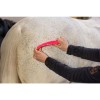 PaardenpraatTV Grooming Brush