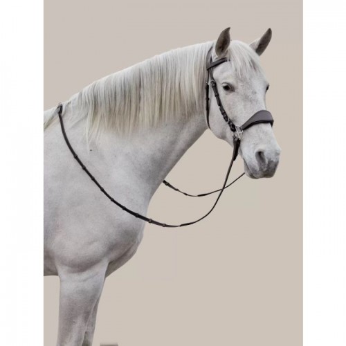 Nalanta Bitless Bridle