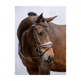 PS of Sweden GP trens hoofdstel