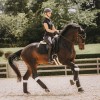 Kentucky Sheepskin Short Girth