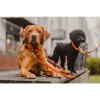 Kentucky Plaited Nylon dog lead 2m