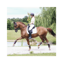 Kentucky Brushing Boots Leather Front