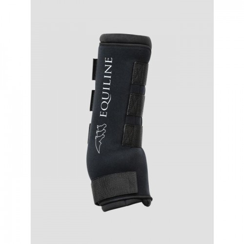 Equiline therapeutic stable and transport protector Cairo
