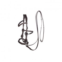 F.R.A. Hackamore Bridle Calli