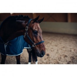 Equestrian Stockholm Midnight Blue Halter