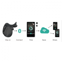 Equestic Saddle Clip