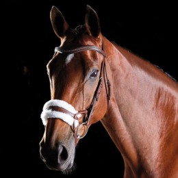 Collegiate ComFiTec Sheepskin Bridle