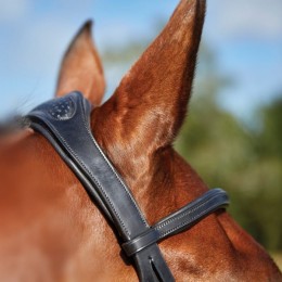Collegiate ComFiTec Training Bridle