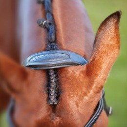 Collegiate ComFiTec Patent Bridle