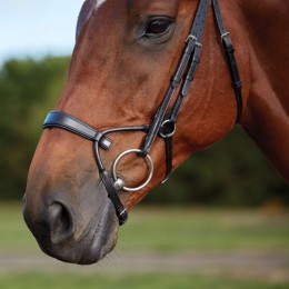 Collegiate ComFiTec Crystal Bridle