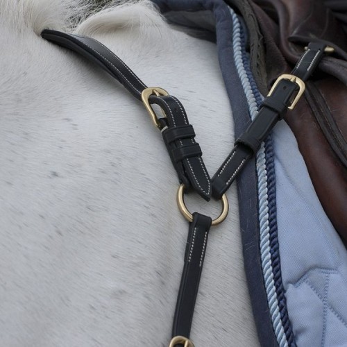 Dyon Anatomic Breastplate