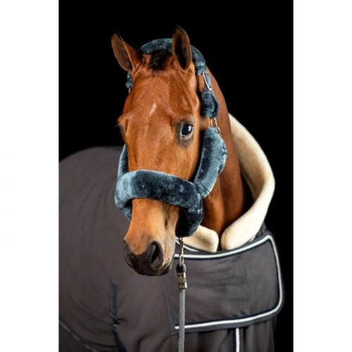 HB Polar 400g Dutch Crown Show Rug