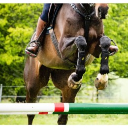 Horseware Adagio Protective Leg Boot