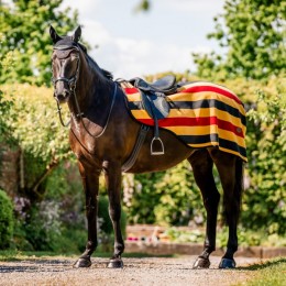 Horseware Newmarket Exercise Sheet