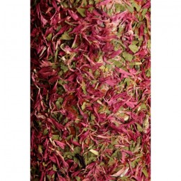 Grooming Deluxe Wooden Relax Horse Toy De-Stress