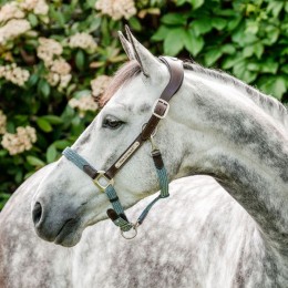 Horseware Signature Braided Headcollar