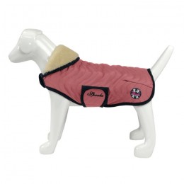 Spooks Dog Coat Classic