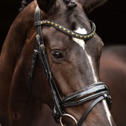 HB Showtime Bridle Las Vegas