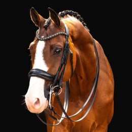 HB Showtime Double Bridle All You Needed