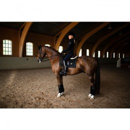 Equestrian Stockholm SS'23 dressage saddlepad Black Edition Gold