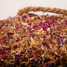 Herbi Horse Herb Wood Nibble Toy Relax