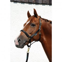 Bucas Dublin Halter Black