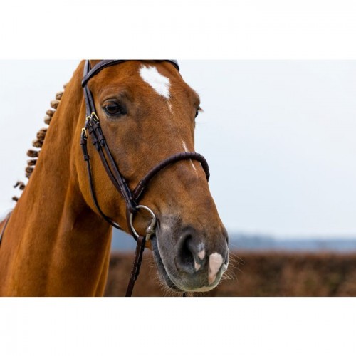 Trust dublin bridle rope noseband leather