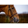 Trust dublin bridle rope noseband leather