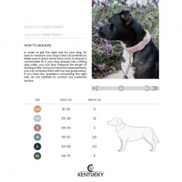 Kentucky Dog Collar Teddy Fleece