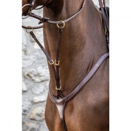 Dyon Running Martingale Attachment D Collection