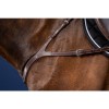 Dyon Anatomical Breastplate US Jumping Collection