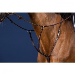 Dyon Running Martingale Attachment US Jumping Collection