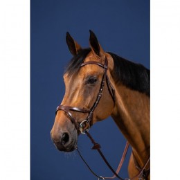 Dyon Bridle X-fit New English Collection