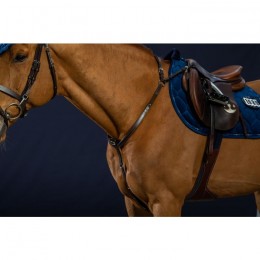 Dyon Bridge Breastplate Working By Dyon Collection